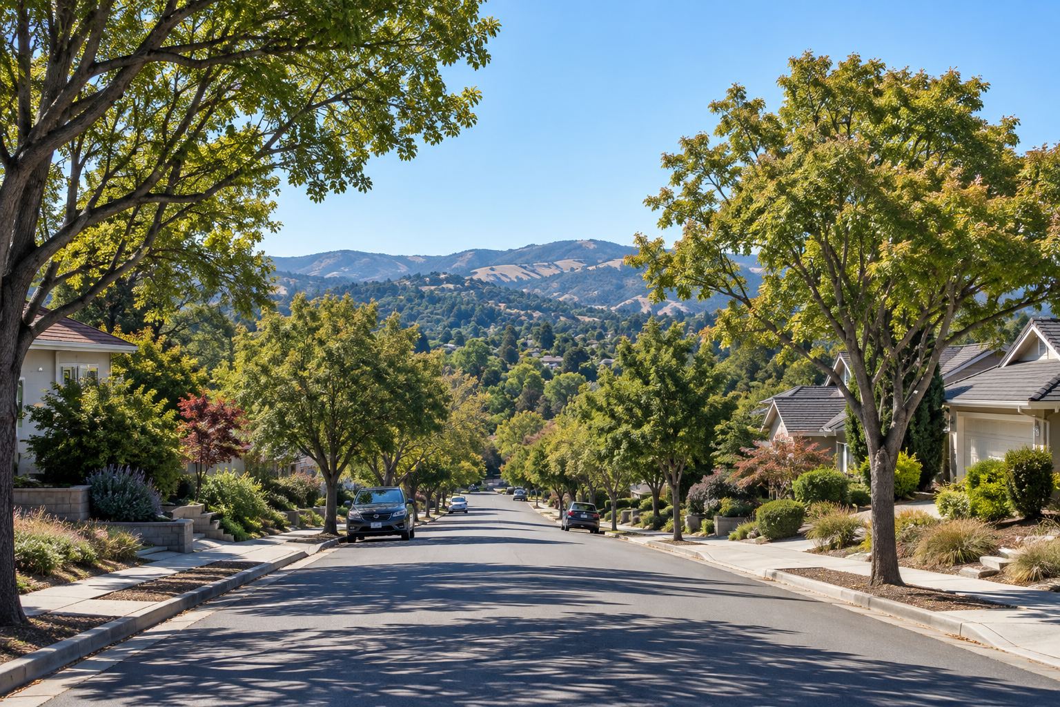An East Bay area residential street, illustrative