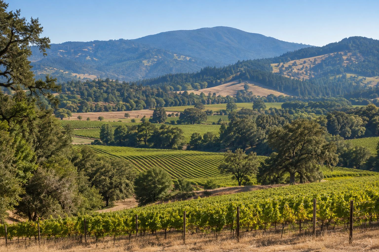Potter Valley, CA
